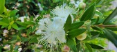 Enlarge photo 49