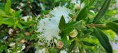 Enlarge photo 48