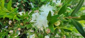 Enlarge photo 51