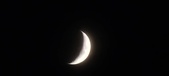 Enlarge photo 131