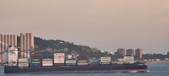 Enlarge photo 165