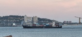 Enlarge photo 167