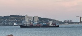 Enlarge photo 172