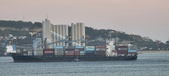 Enlarge photo 173