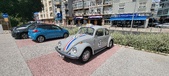 Enlarge photo 242