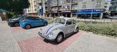 Enlarge photo 243