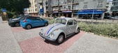 Enlarge photo 244