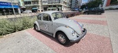 Enlarge photo 246