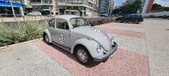 Enlarge photo 247