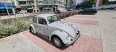 Enlarge photo 249
