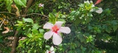 Enlarge photo 255