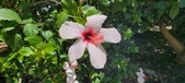Enlarge photo 256