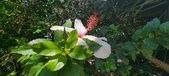 Enlarge photo 257