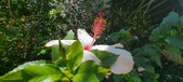 Enlarge photo 258