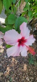 Enlarge photo 265