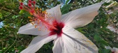 Enlarge photo 267