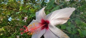 Enlarge photo 269
