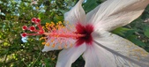 Enlarge photo 270