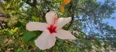 Enlarge photo 272