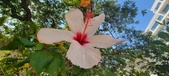 Enlarge photo 273