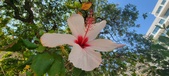 Enlarge photo 274
