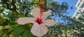 Enlarge photo 275