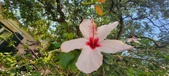 Enlarge photo 277