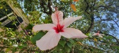 Enlarge photo 279