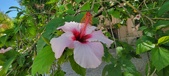 Enlarge photo 280