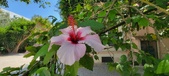 Enlarge photo 281