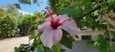 Enlarge photo 282