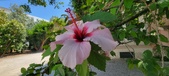 Enlarge photo 283