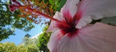 Enlarge photo 285