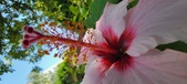 Enlarge photo 286