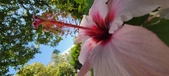 Enlarge photo 287