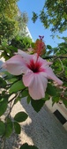 Enlarge photo 288
