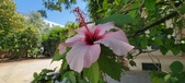 Enlarge photo 289