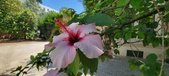 Enlarge photo 290