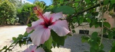 Enlarge photo 291