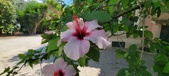 Enlarge photo 292