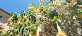 Enlarge photo 296