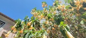 Enlarge photo 297