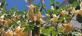 Enlarge photo 302