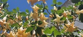 Enlarge photo 303