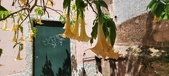Enlarge photo 304