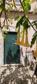 Enlarge photo 305