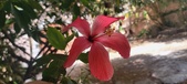 Enlarge photo 321