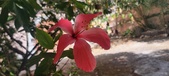 Enlarge photo 322