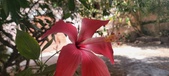 Enlarge photo 323