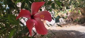 Enlarge photo 325